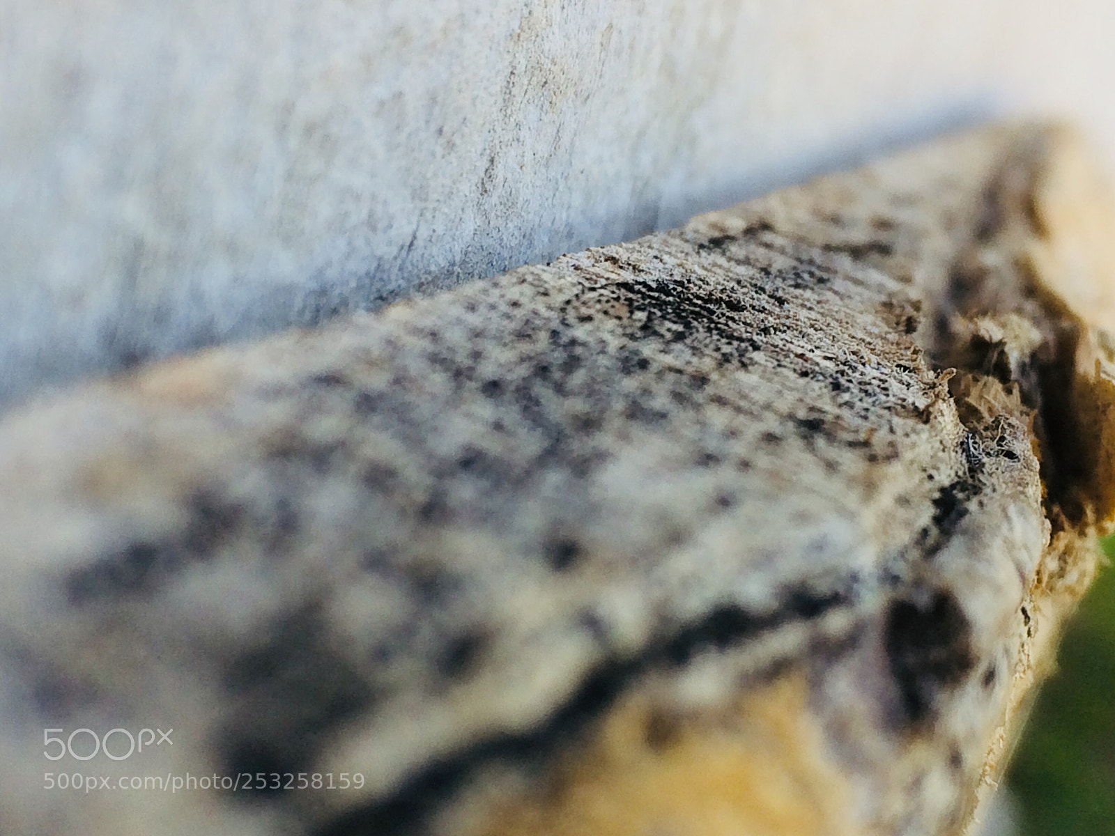 Apple iPhone 5s sample photo. Wooden beauty  photography