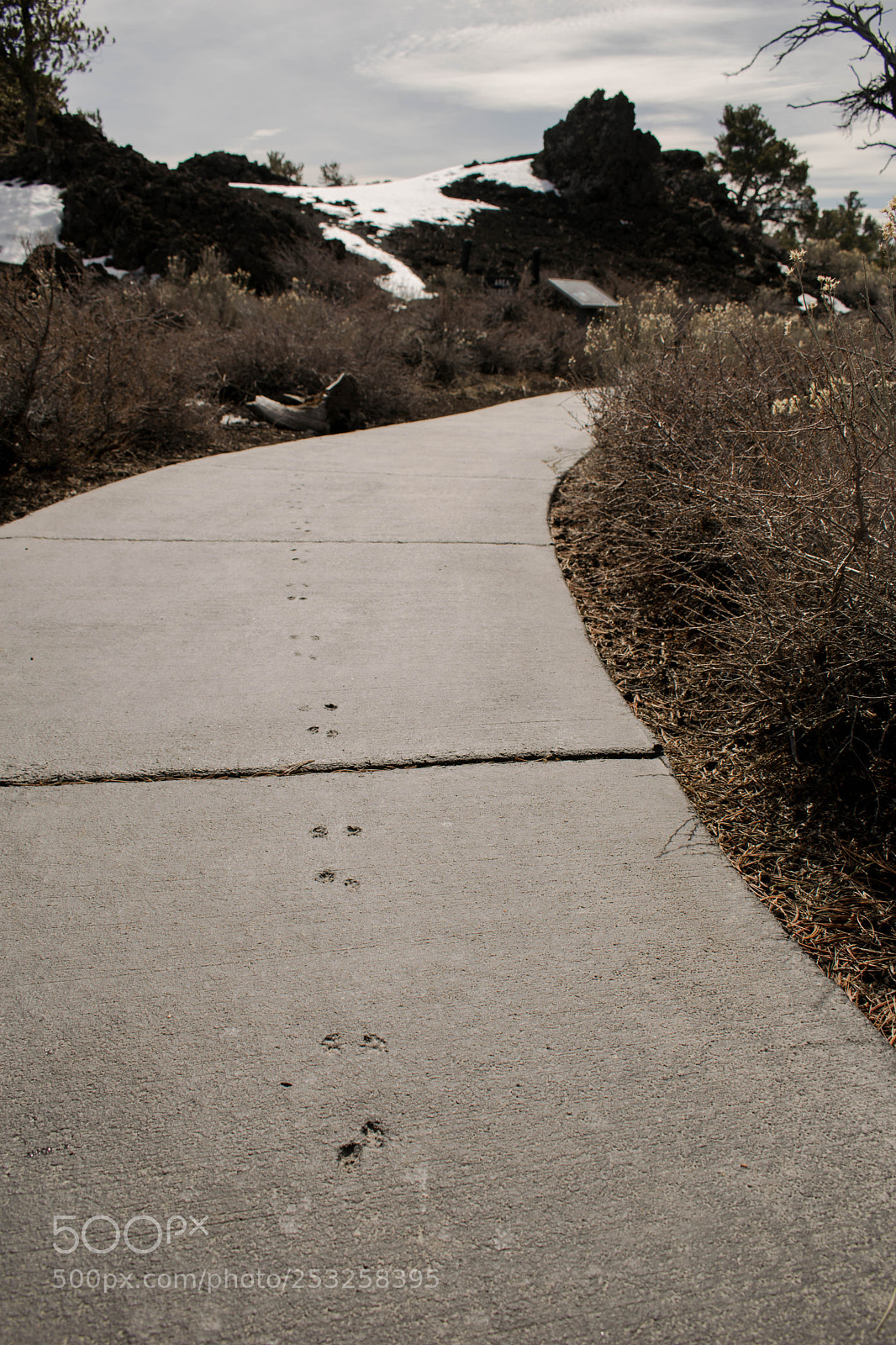 Nikon D5300 sample photo. Tracks left in wet photography