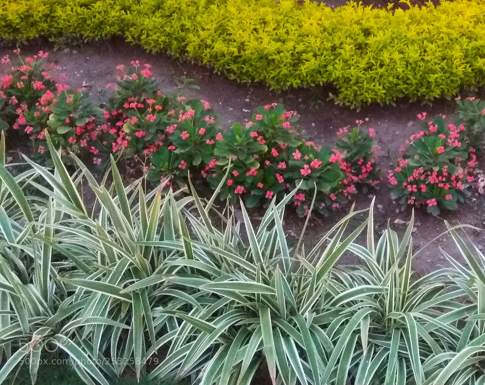 Xiaomi Redmi Note 4 sample photo. Repetición 2 photography