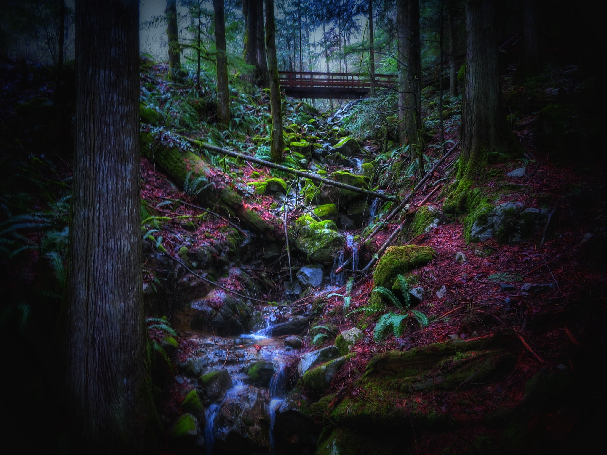 Canon PowerShot SX730 HS sample photo. Cascade falls trail photography