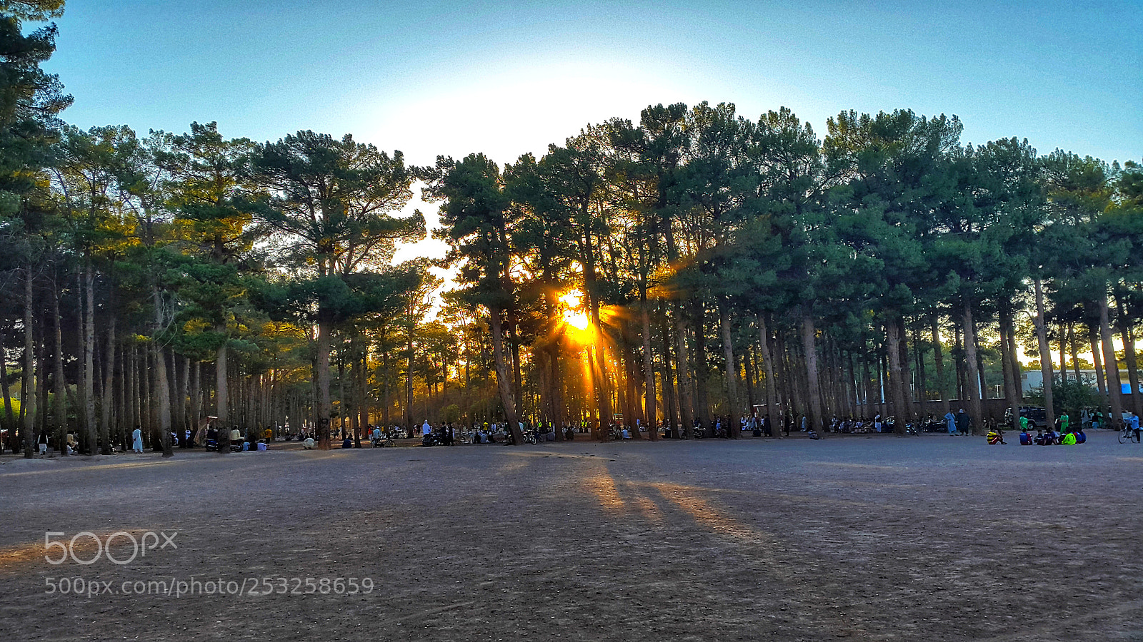 Samsung Galaxy S5 sample photo. After after afternoon photography