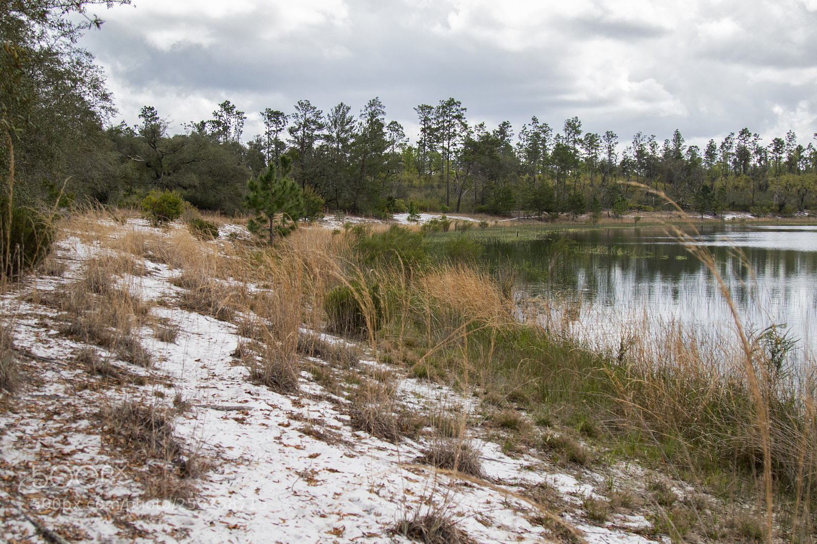 Canon EOS 7D Mark II sample photo. Lake at gold branch photography