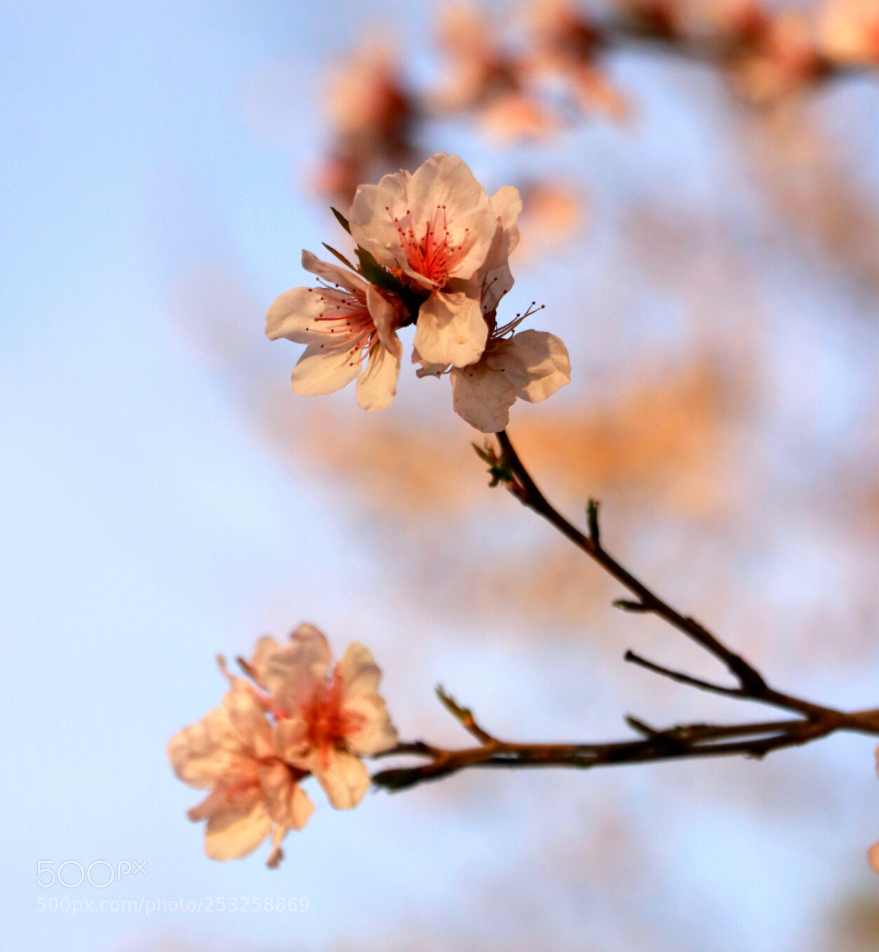 Canon EOS 80D sample photo. Untitled photography