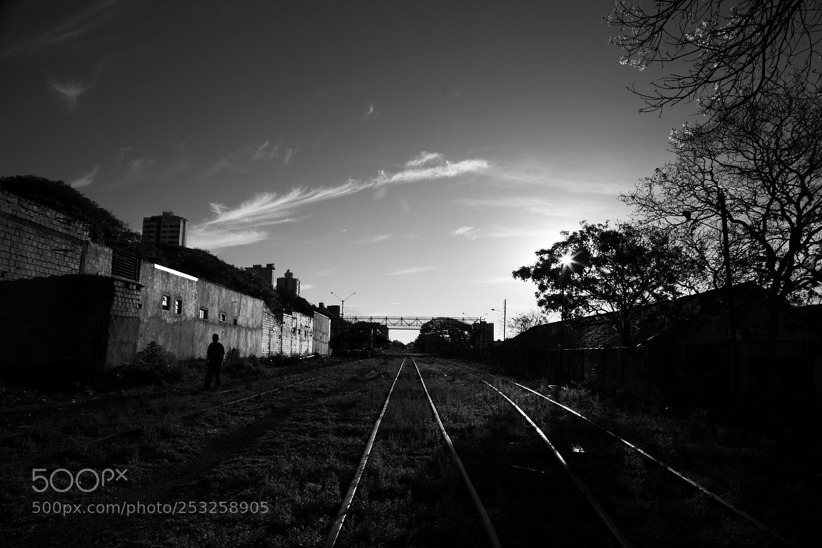 Canon EOS 5D Mark II sample photo. O trem procopense photography