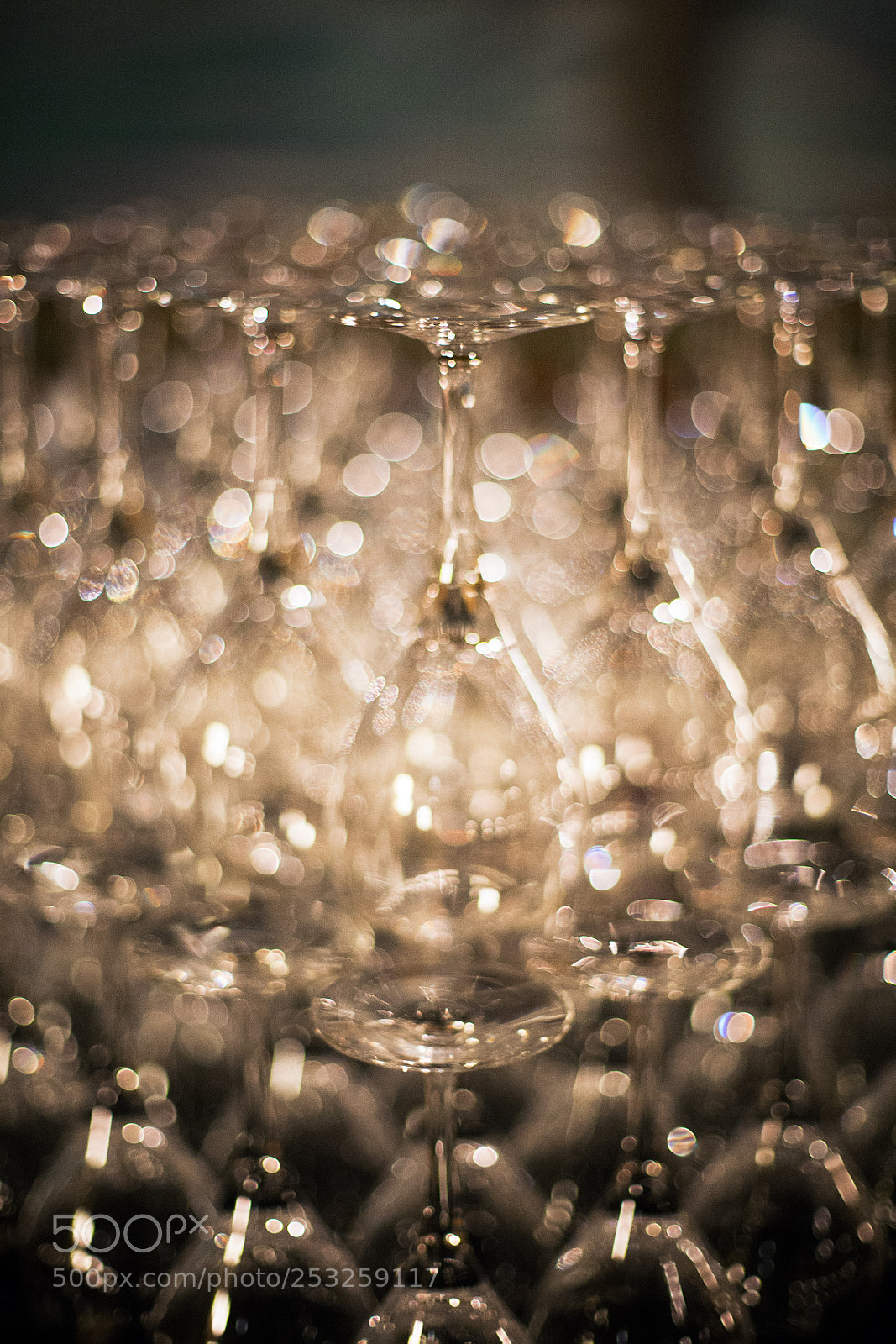 Canon EOS 5D sample photo. Bokeh photography