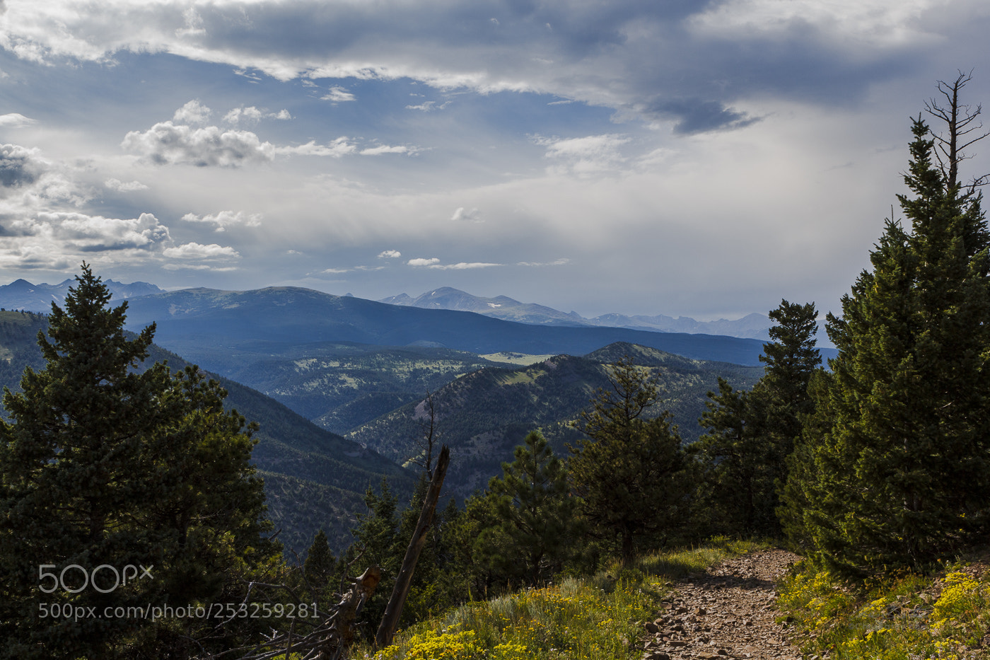 Canon EOS 60D sample photo. The trail less traveled photography