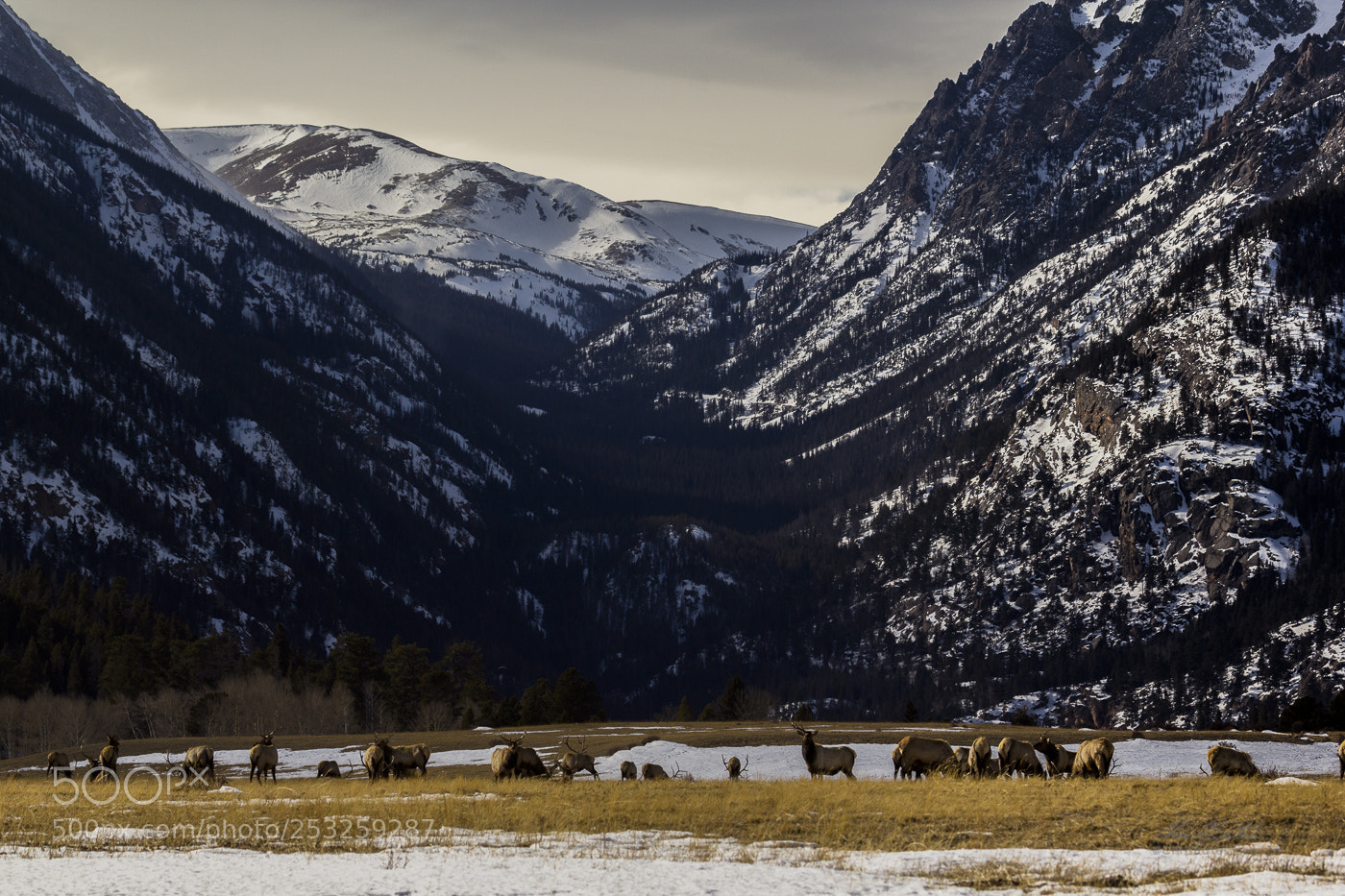 Canon EOS 60D sample photo. Rmnp photography