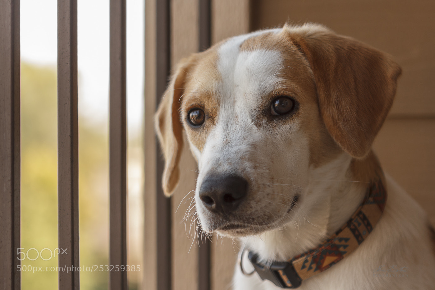 Canon EOS 60D sample photo. Spencer photography