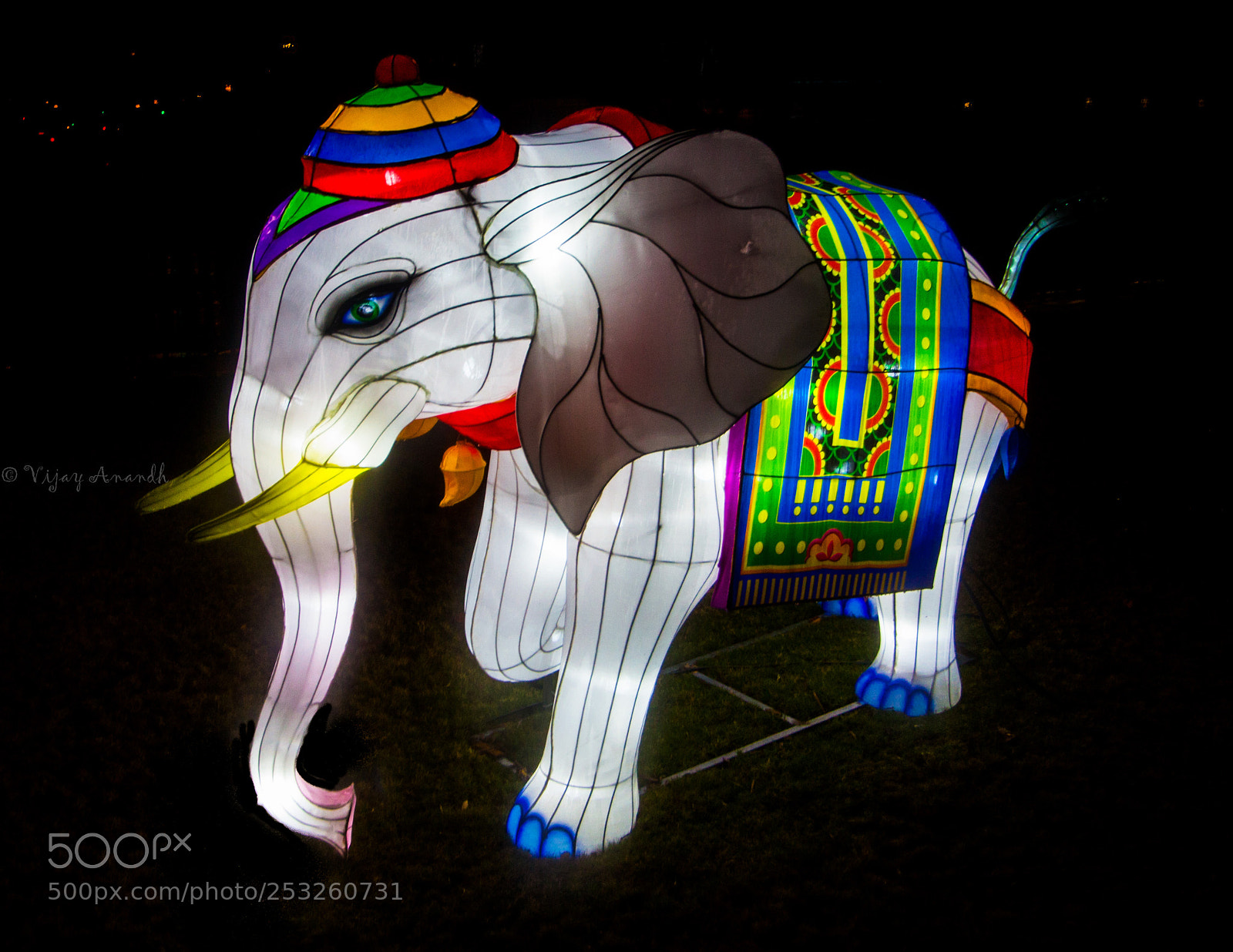 Canon EOS 700D (EOS Rebel T5i / EOS Kiss X7i) sample photo. Lantern elephant photography