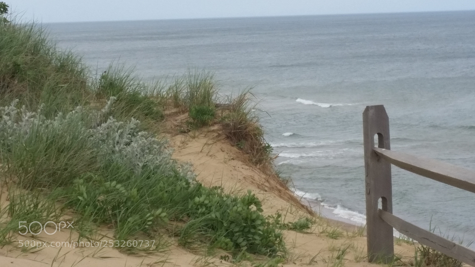 Samsung Galaxy S5 sample photo. Cape cod early may photography