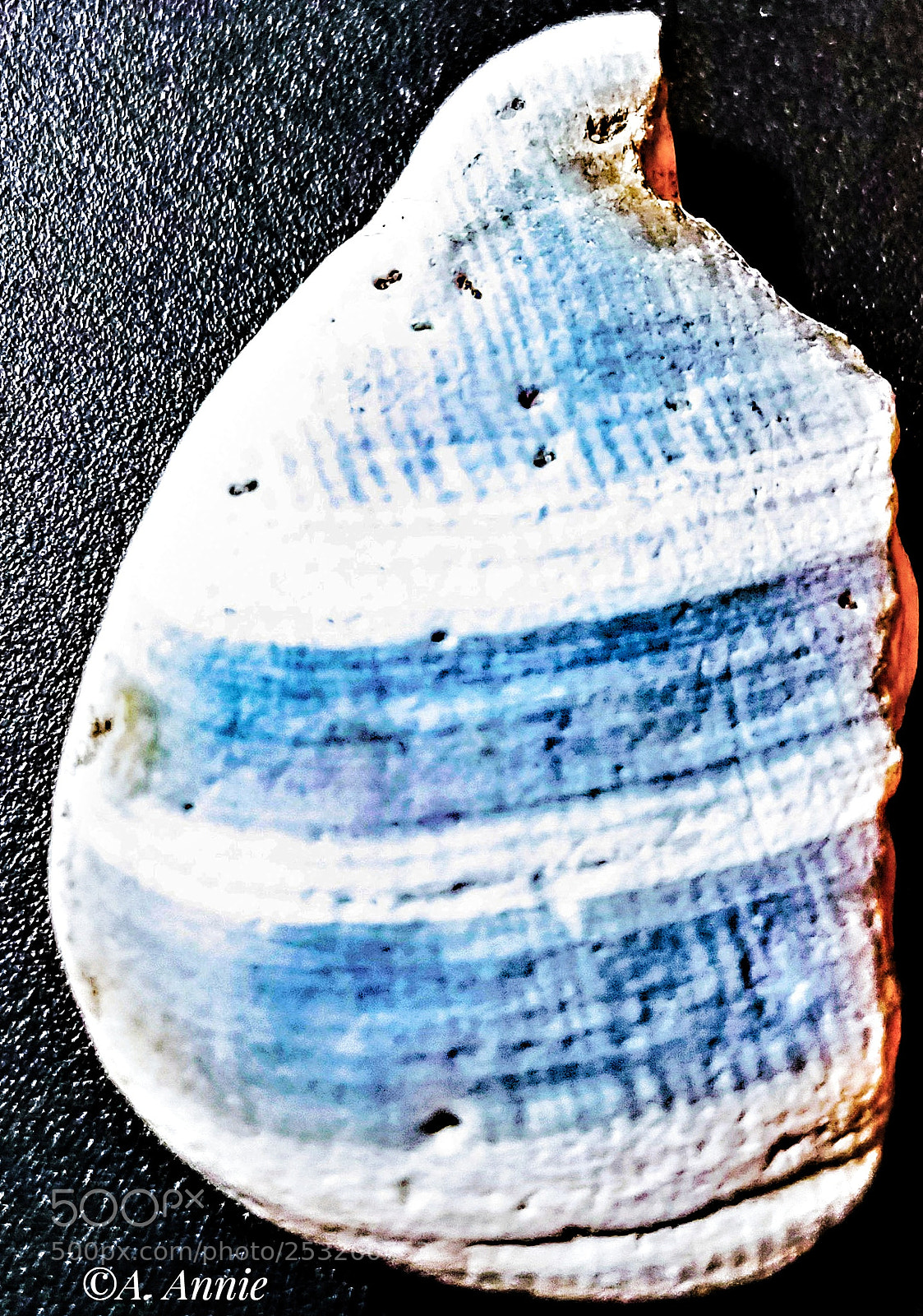 Samsung Galaxy S7 sample photo. Texture photography