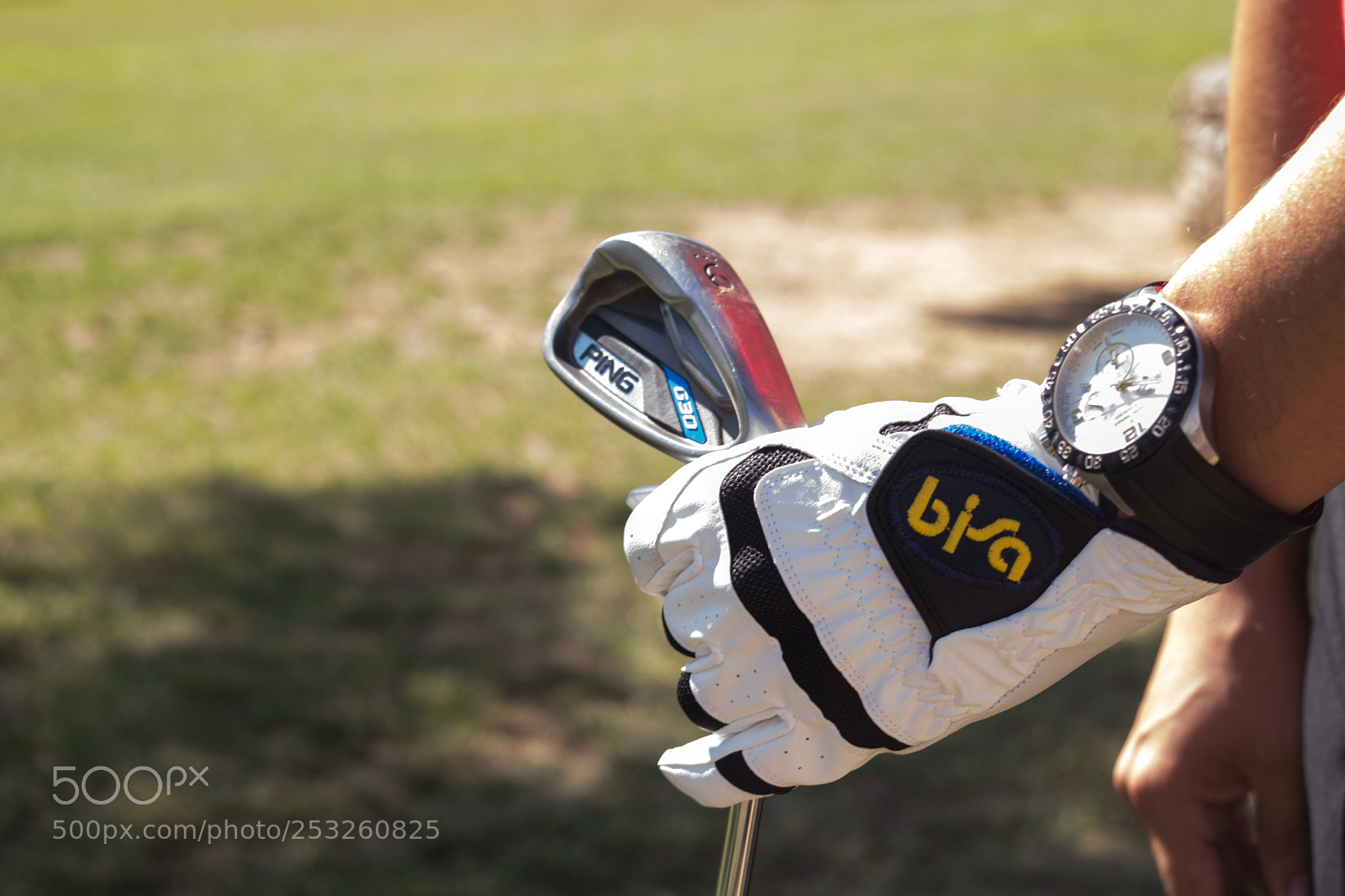 Nikon D3300 sample photo. Golf photography