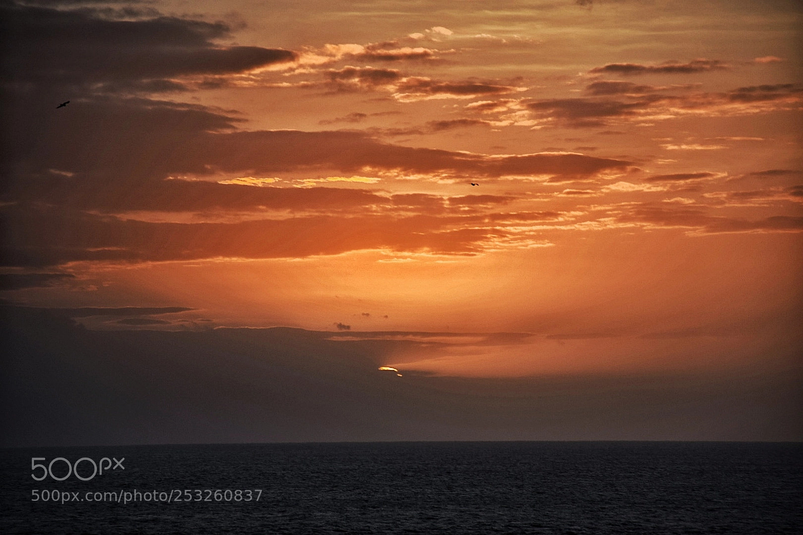 Nikon D5300 sample photo. Atardecer en cozumel photography