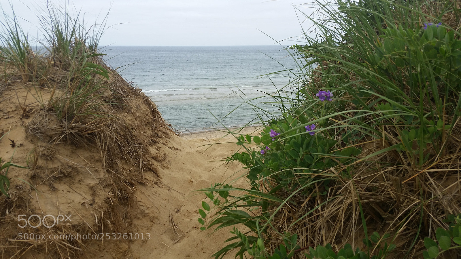 Samsung Galaxy S5 sample photo. Cape cod shoreline photography