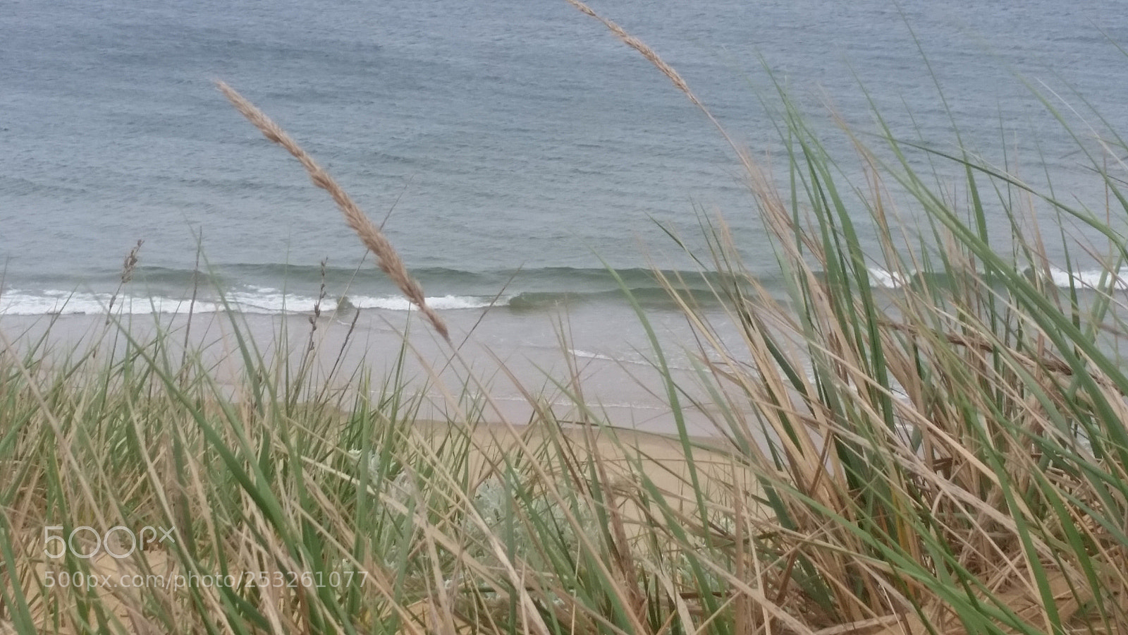 Samsung Galaxy S5 sample photo. Cape cod shoreline photography