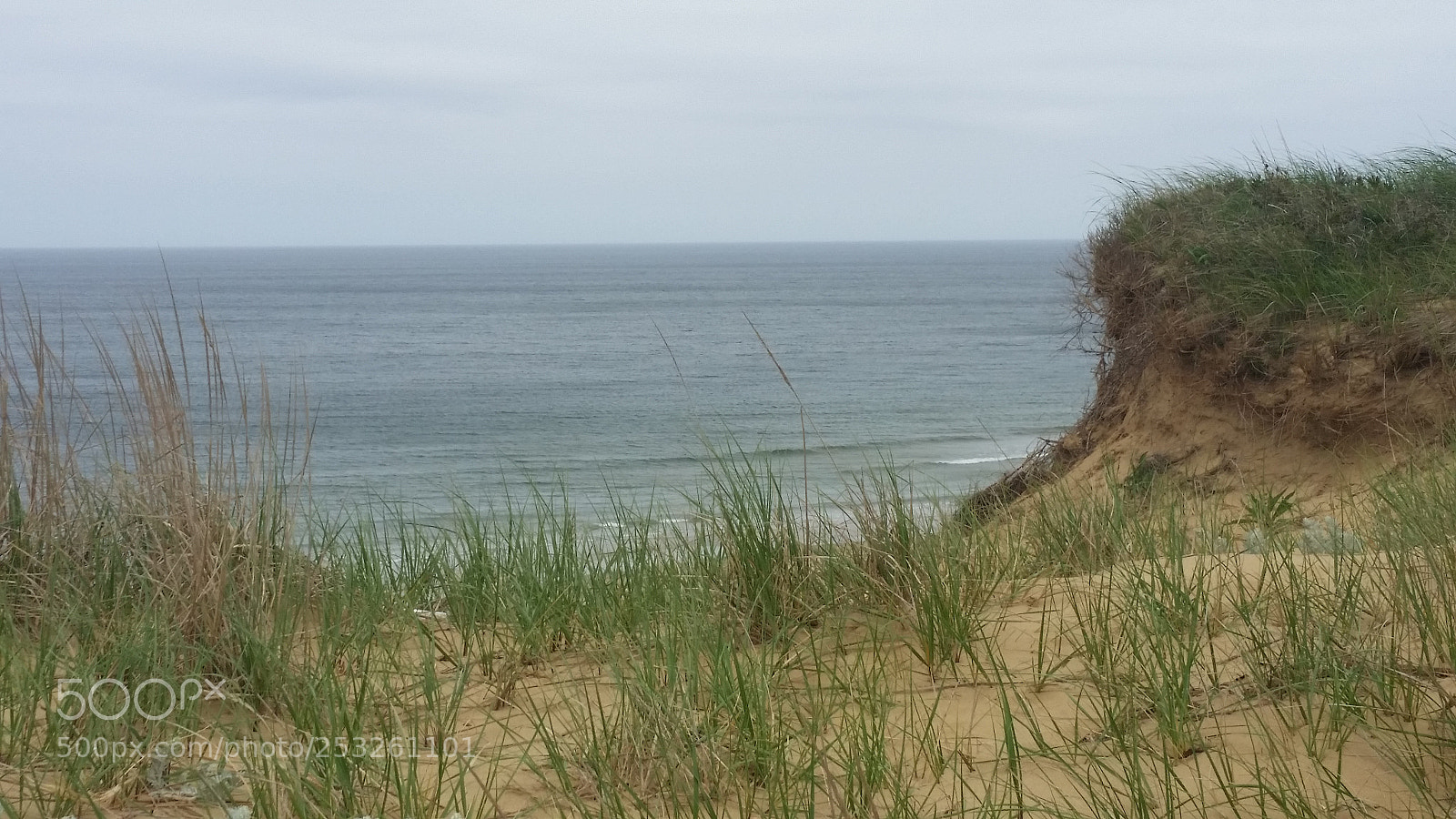 Samsung Galaxy S5 sample photo. Cape cod shoreline photography