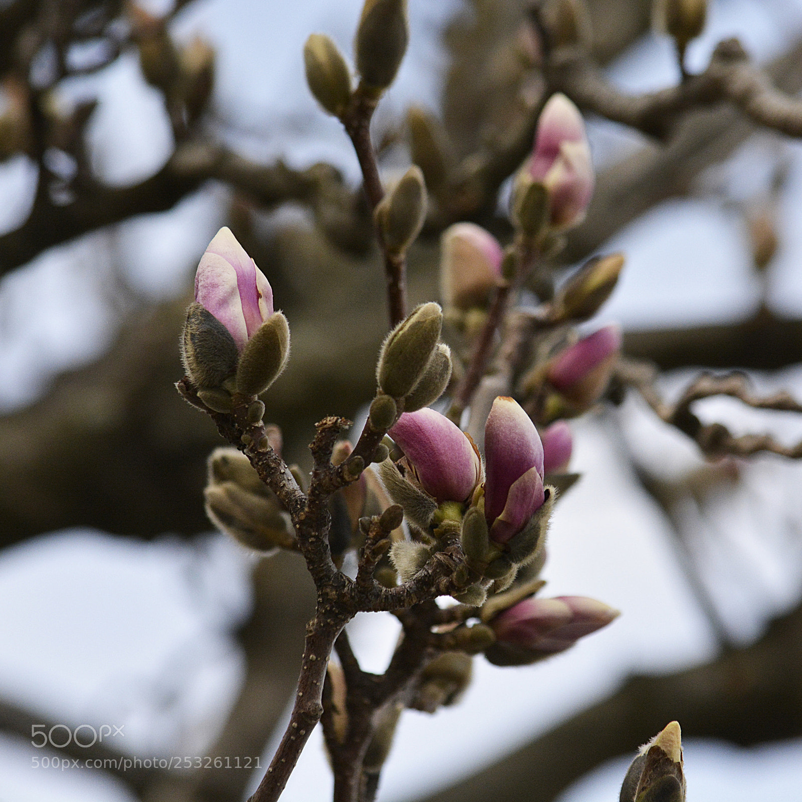 Nikon D5200 sample photo. Just started... photography