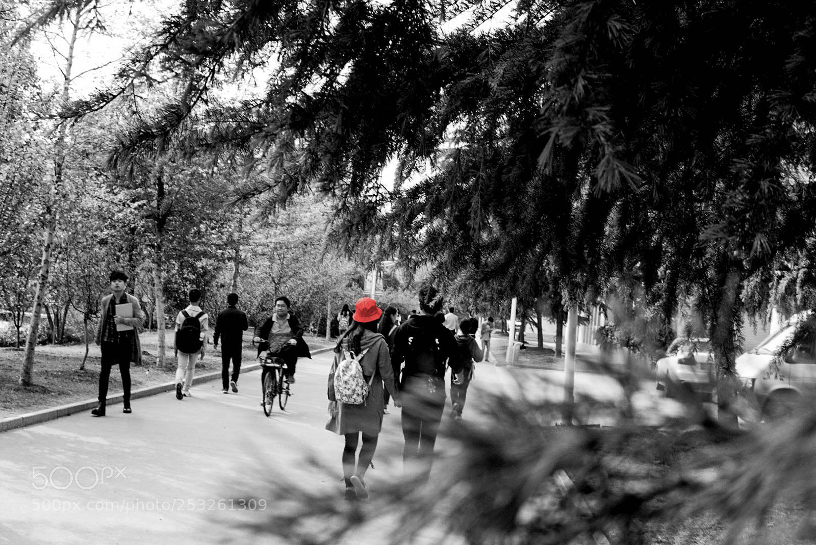 Sony a6000 sample photo. Untitled photography