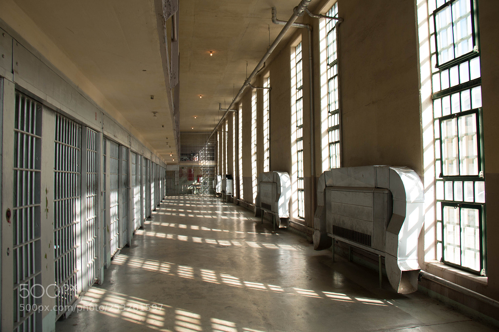 Canon EOS 70D sample photo. The cells of one photography