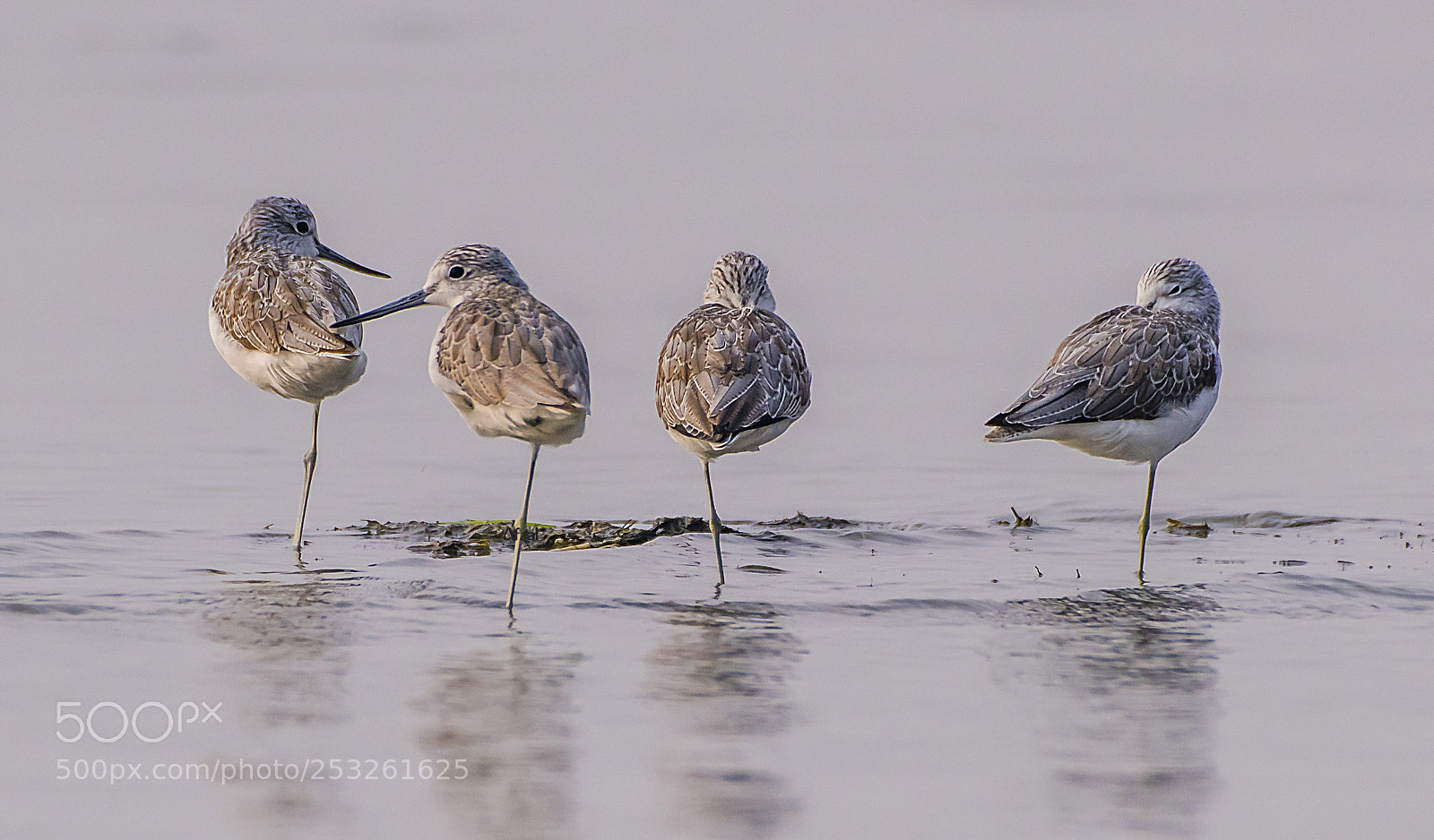 Nikon D810 sample photo. Meditation with one leg photography