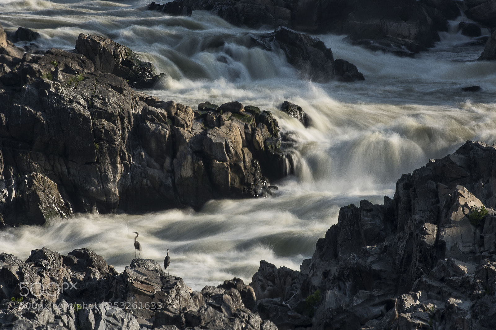 Nikon D810 sample photo. Great falls photography