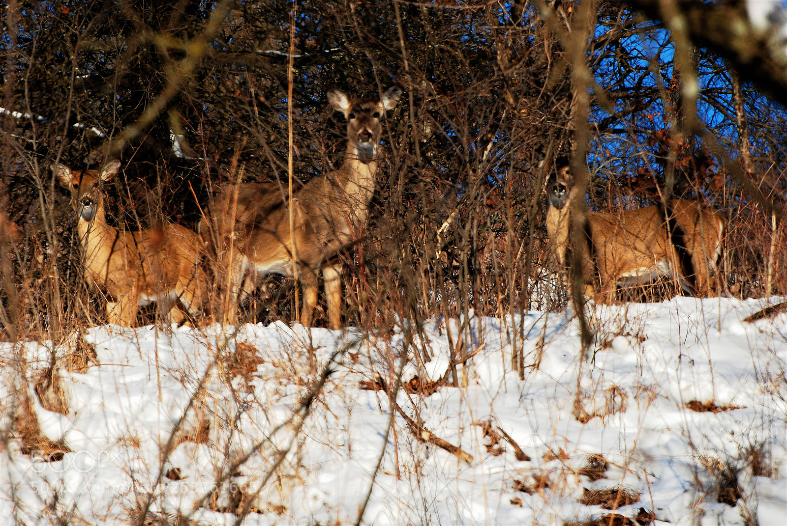 Nikon D80 sample photo. We're safe photography