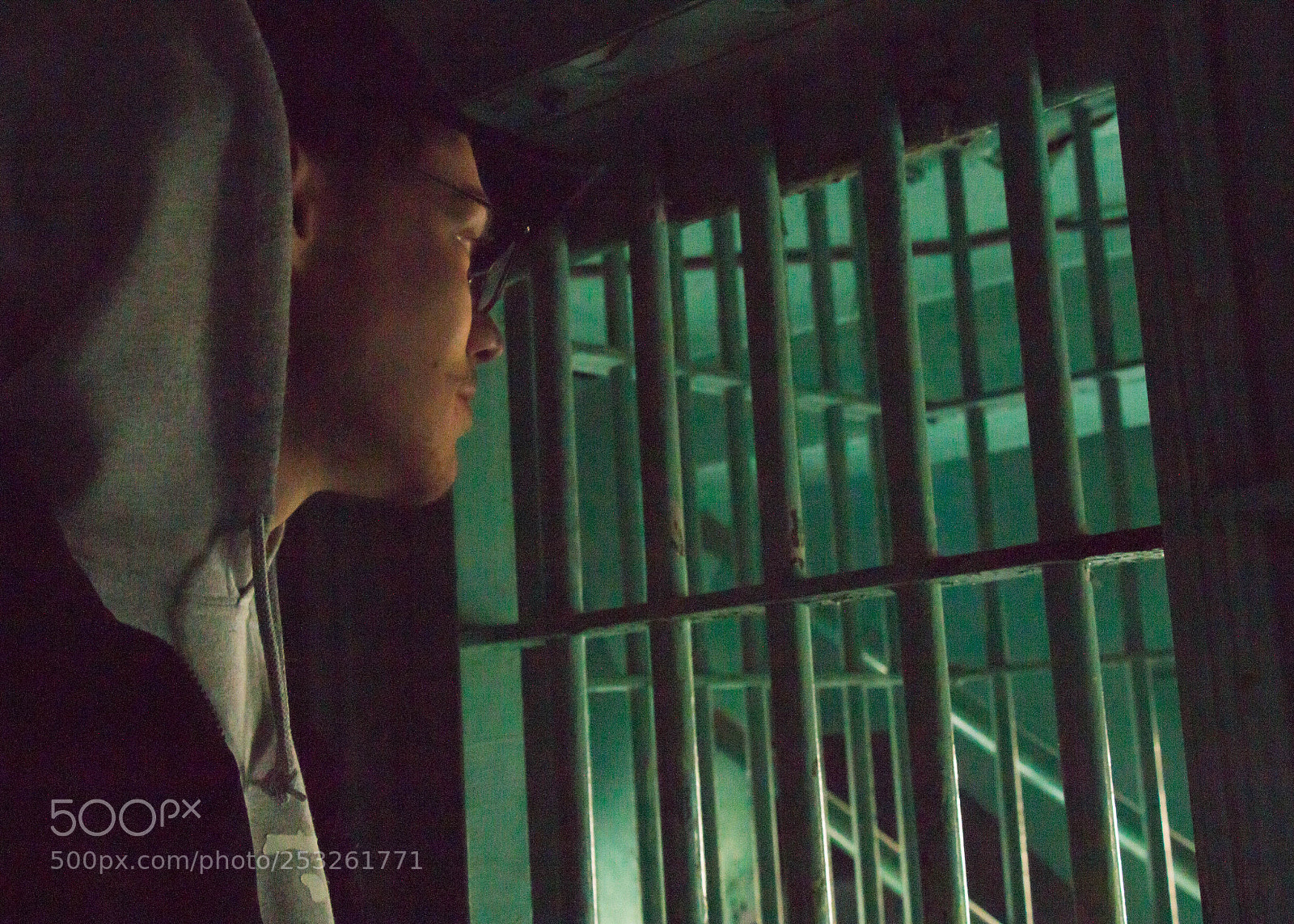 Canon EOS 70D sample photo. Looking through the bars photography