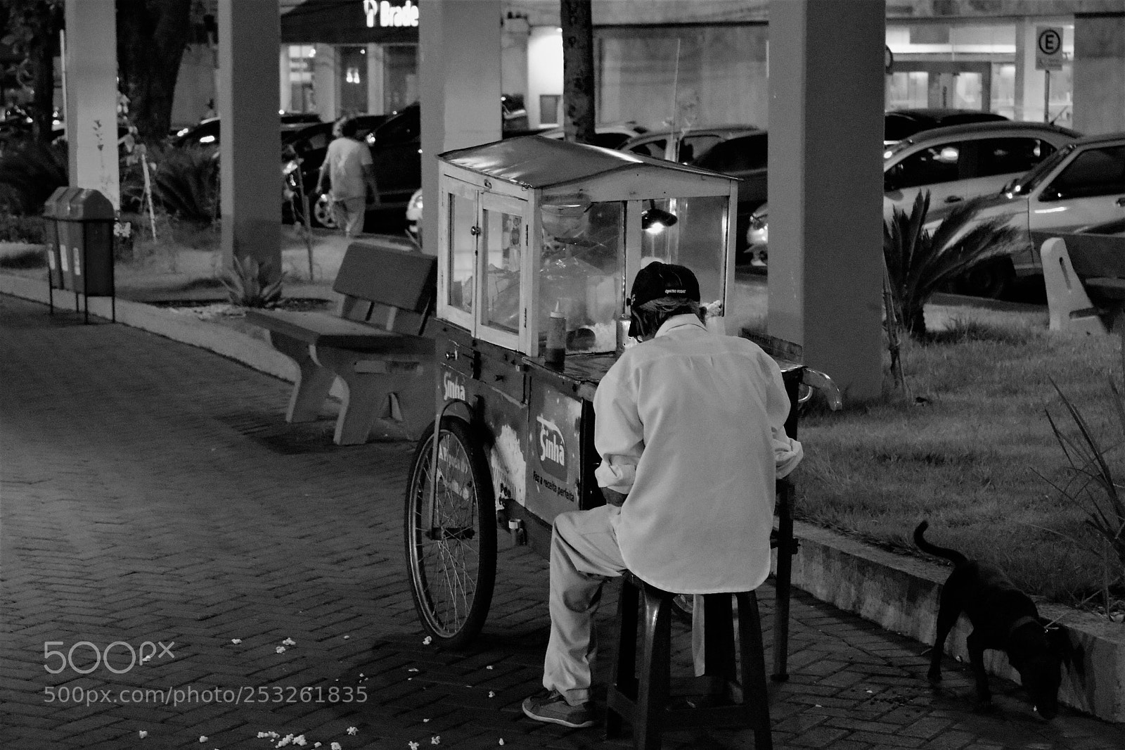 Canon EOS 750D (EOS Rebel T6i / EOS Kiss X8i) sample photo. Popcorn sales photography