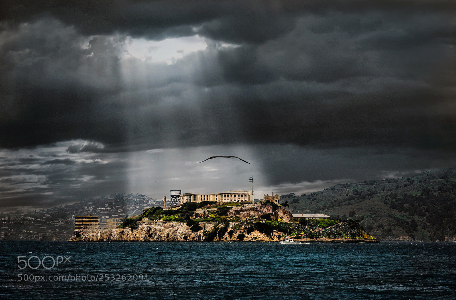 Nikon D800 sample photo. Alcatraz island photography