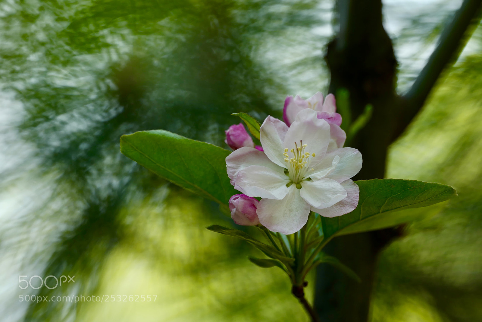 Leica SL (Typ 601) sample photo. Untitled photography