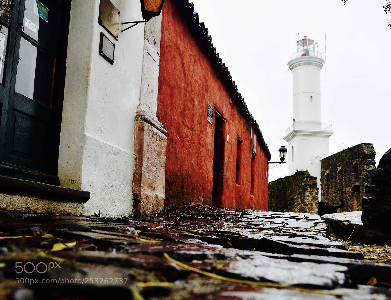 Nikon D5300 sample photo. Rainy day photography