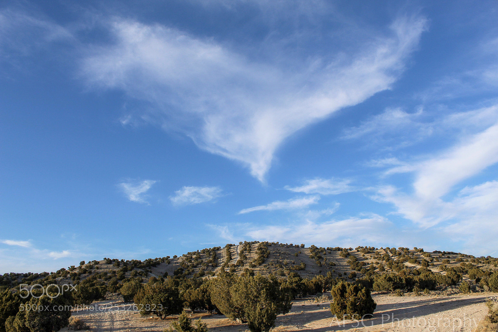 Canon EOS 1300D (EOS Rebel T6 / EOS Kiss X80) sample photo. Eagle hill photography