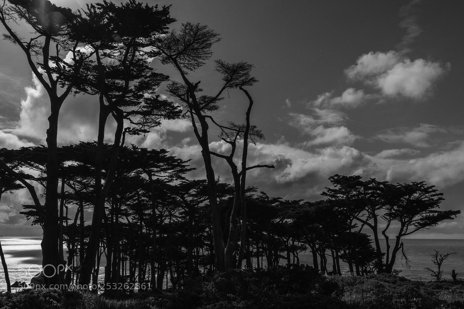 Sony a7R II sample photo. Ocean grove photography