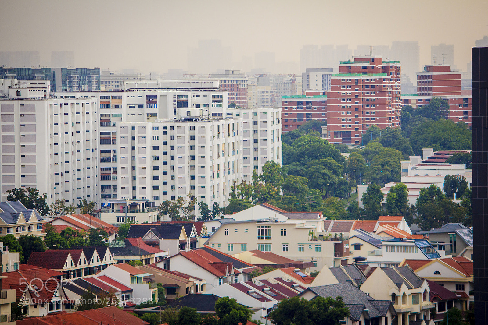 Canon EOS 60D sample photo. Concrete jungle photography