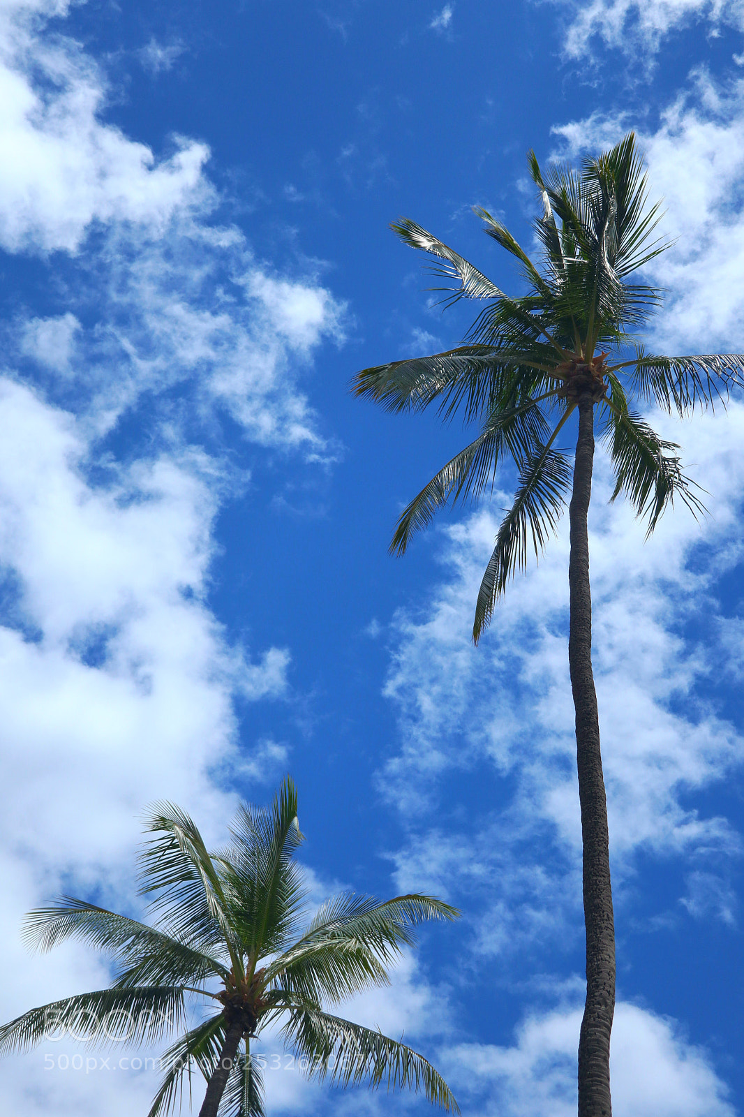 Canon PowerShot G1 X Mark III sample photo. Hawaii photography