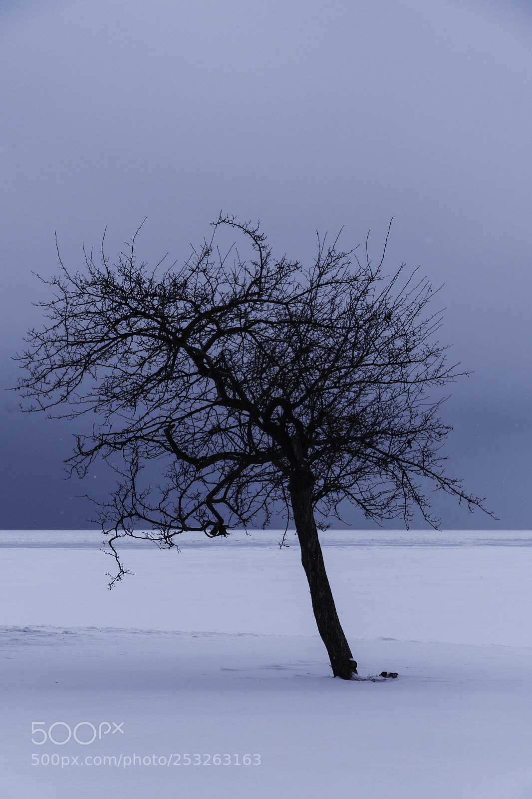 Nikon D500 sample photo. Untitled shoot photography