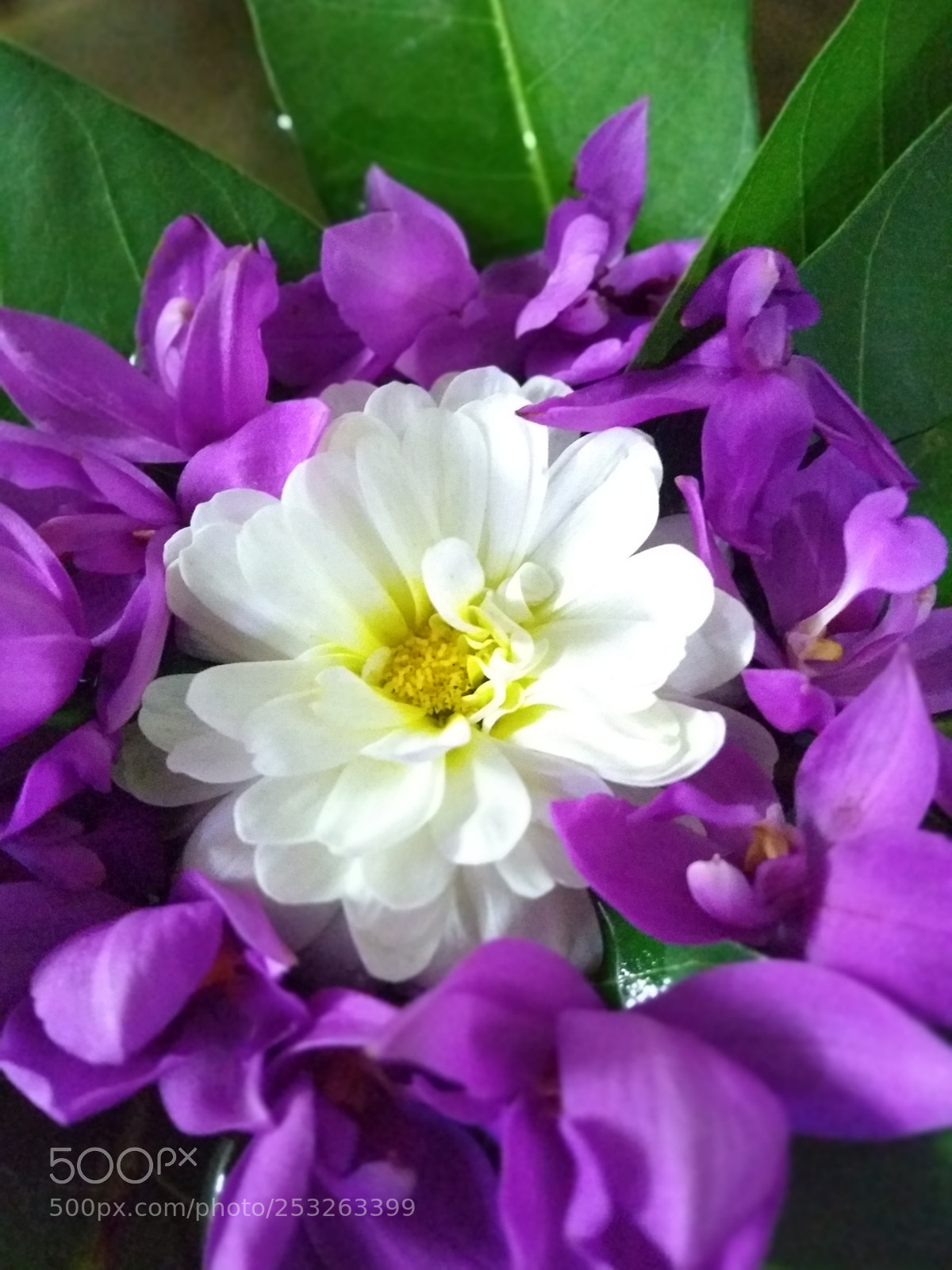 Motorola Moto G (5S) Plus sample photo. Untitled photography