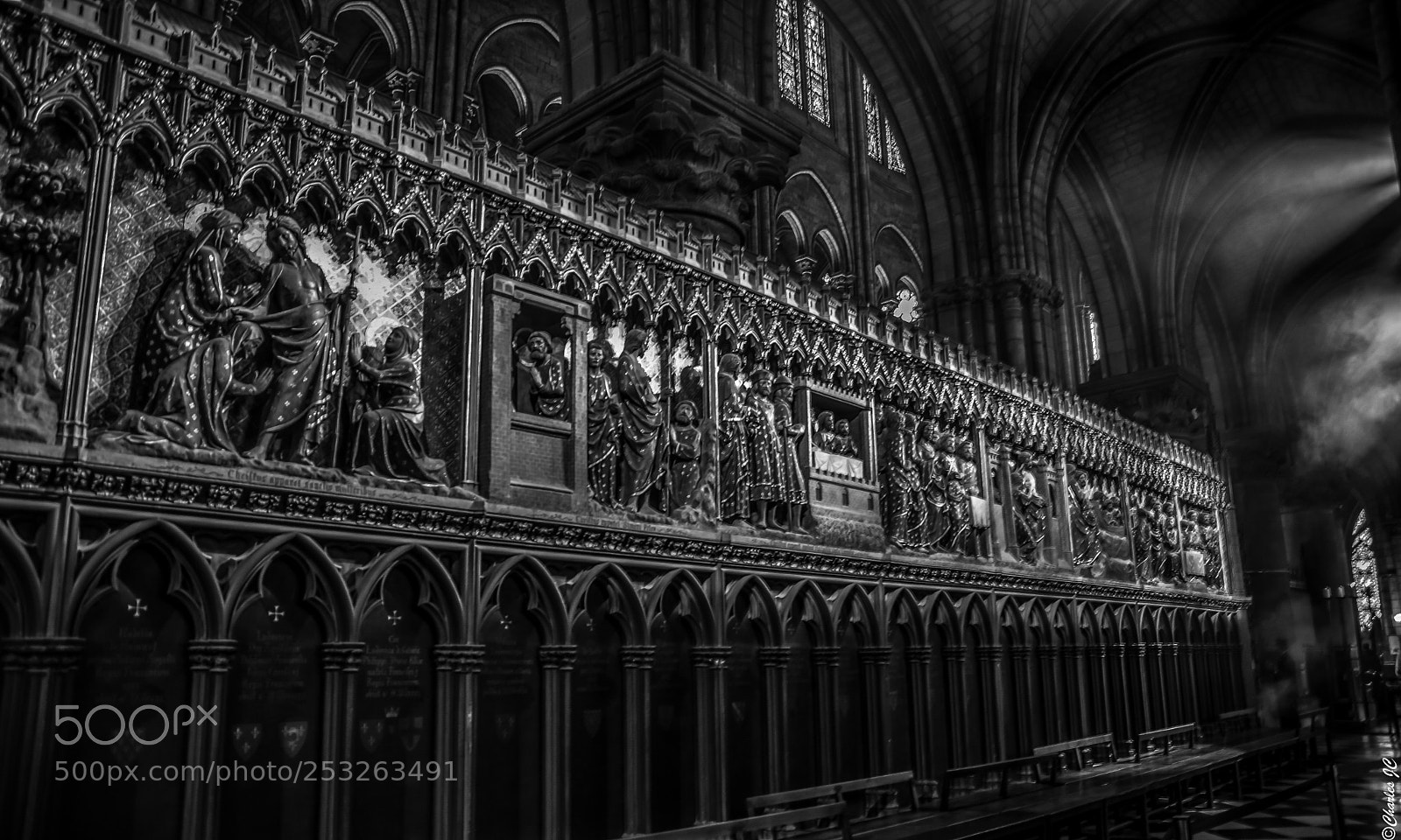 Nikon D5300 sample photo. Mysterious notre dame photography