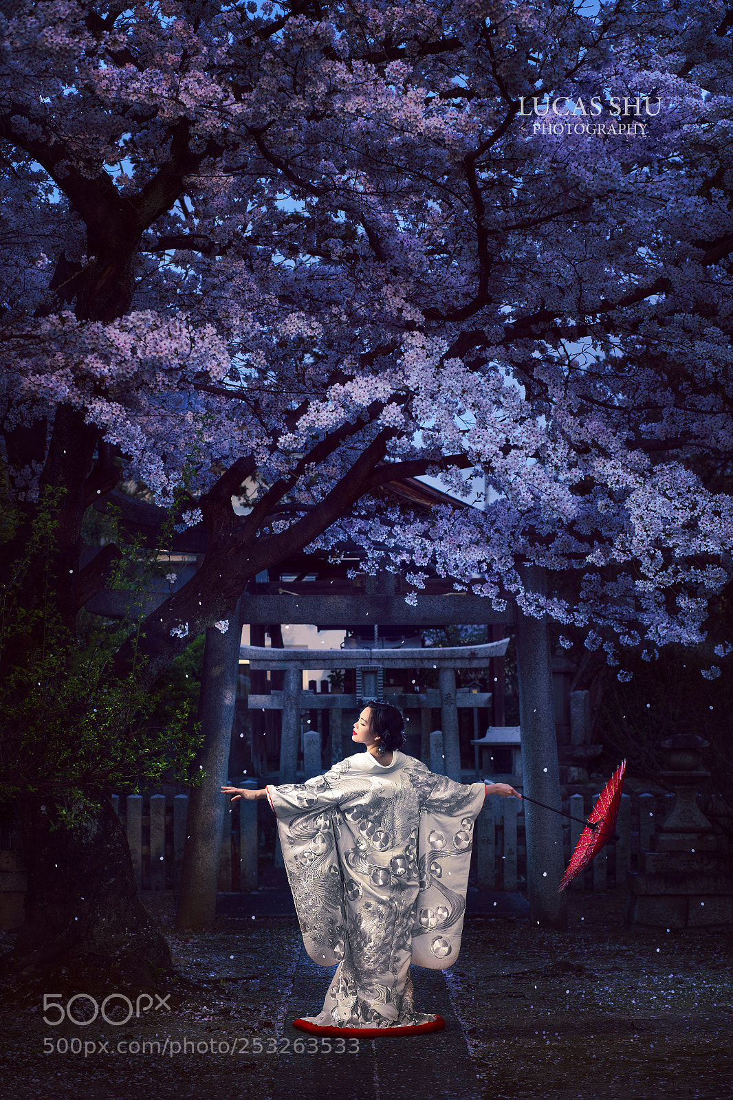Canon EOS-1D X sample photo. Cherry blossom rainy night photography