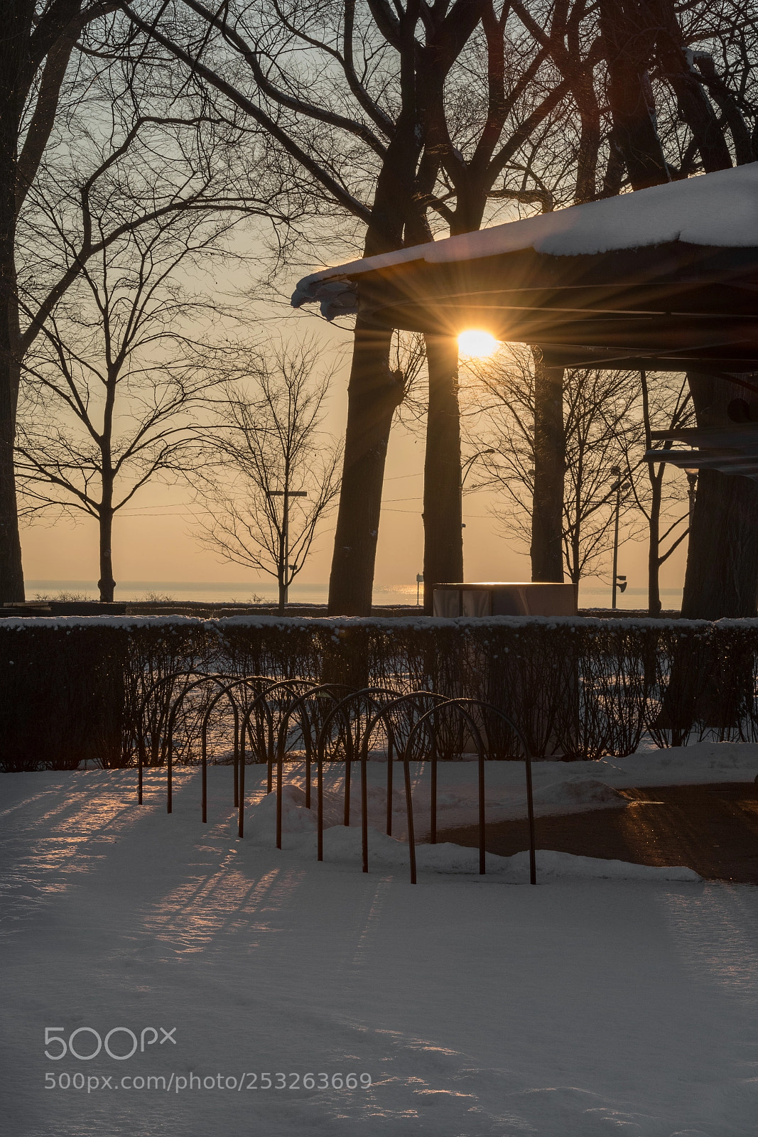 Nikon D500 sample photo. Untitled shoot photography