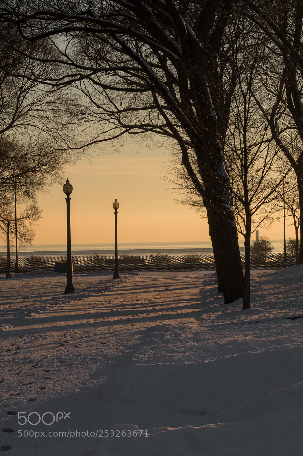 Nikon D500 sample photo. Untitled shoot photography