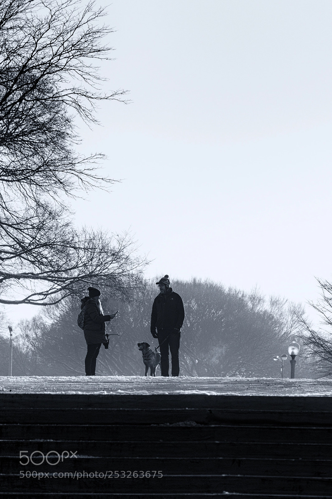 Nikon D500 sample photo. Untitled shoot edit photography