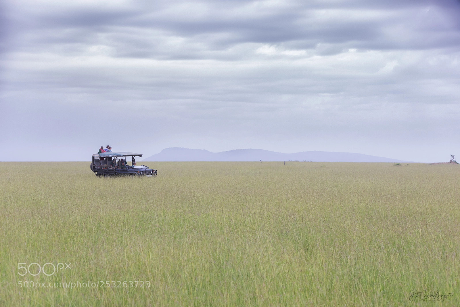 Canon EOS 5D Mark IV sample photo. African safari photography