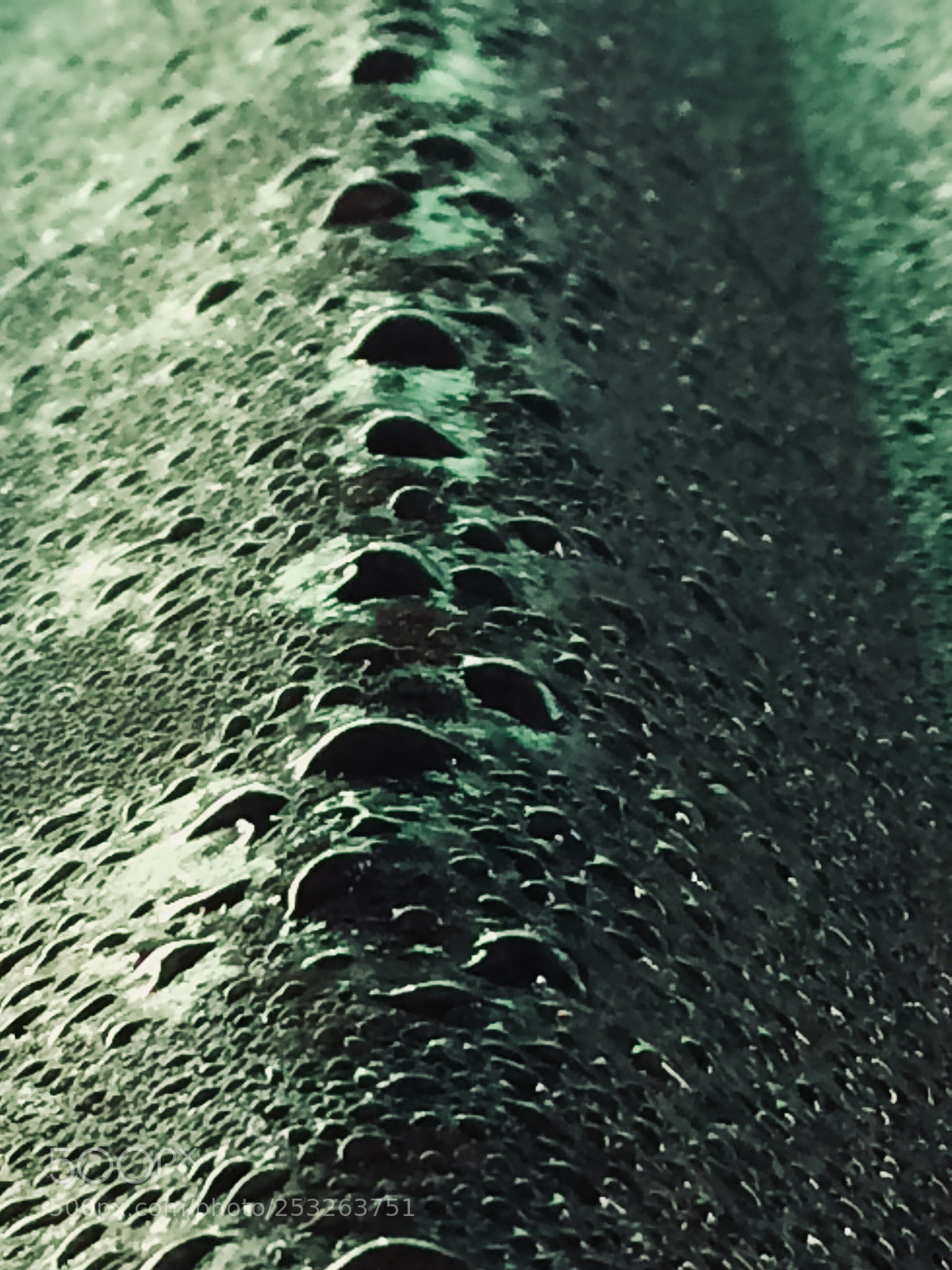 Apple iPhone 5s sample photo. Rain drop’s photography