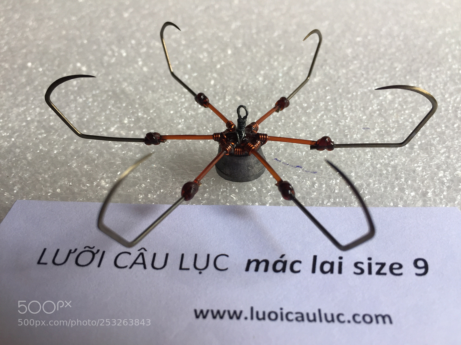 Apple iPhone 6 sample photo. Luoi cau ca photography