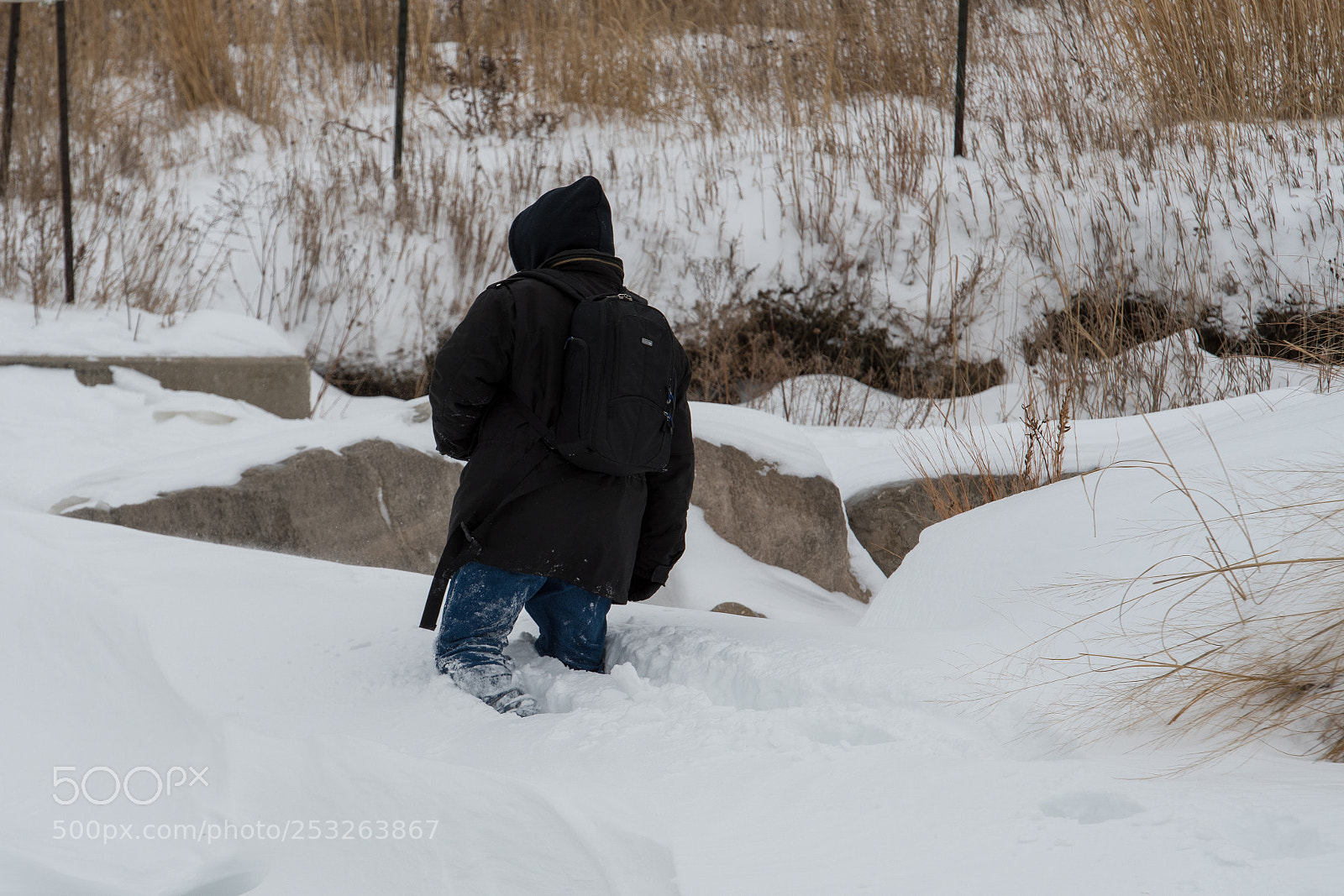 Nikon D500 sample photo. Untitled shoot photography