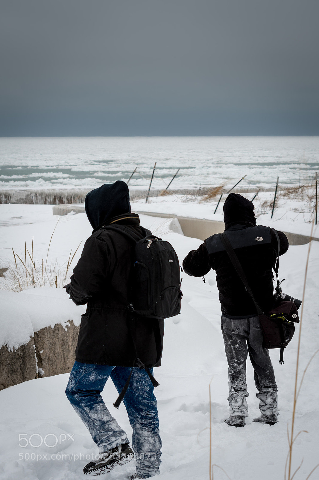 Nikon D500 sample photo. Untitled shoot photography