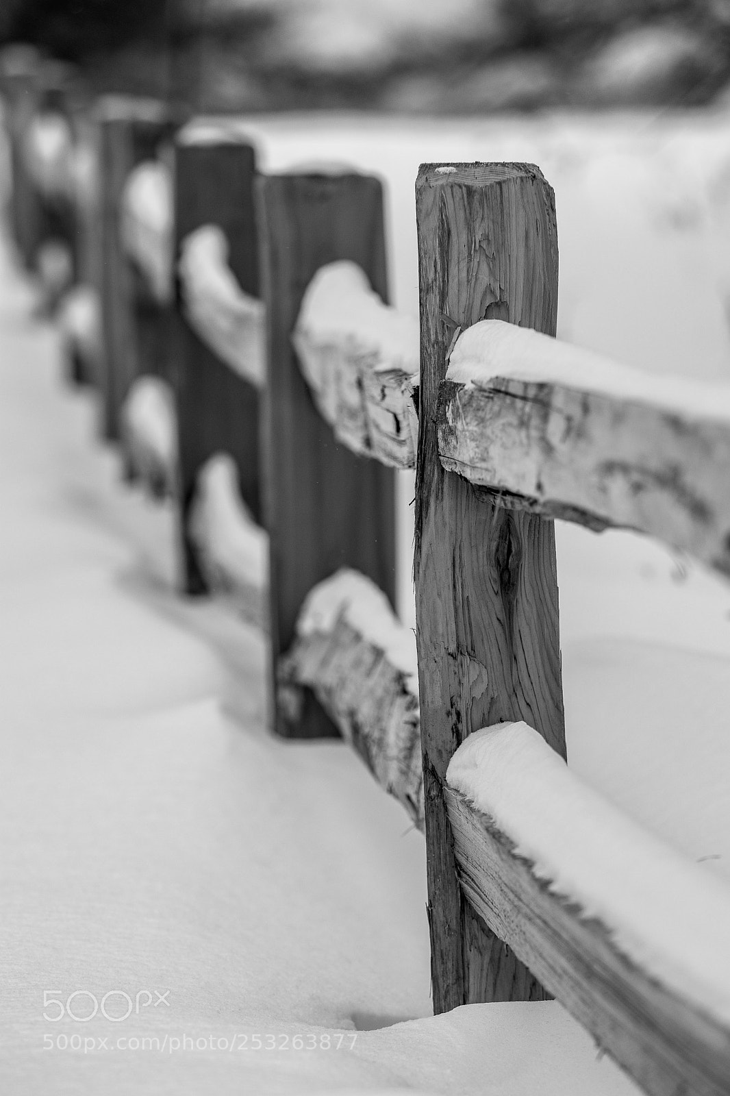 Nikon D500 sample photo. Untitled shoot edit photography