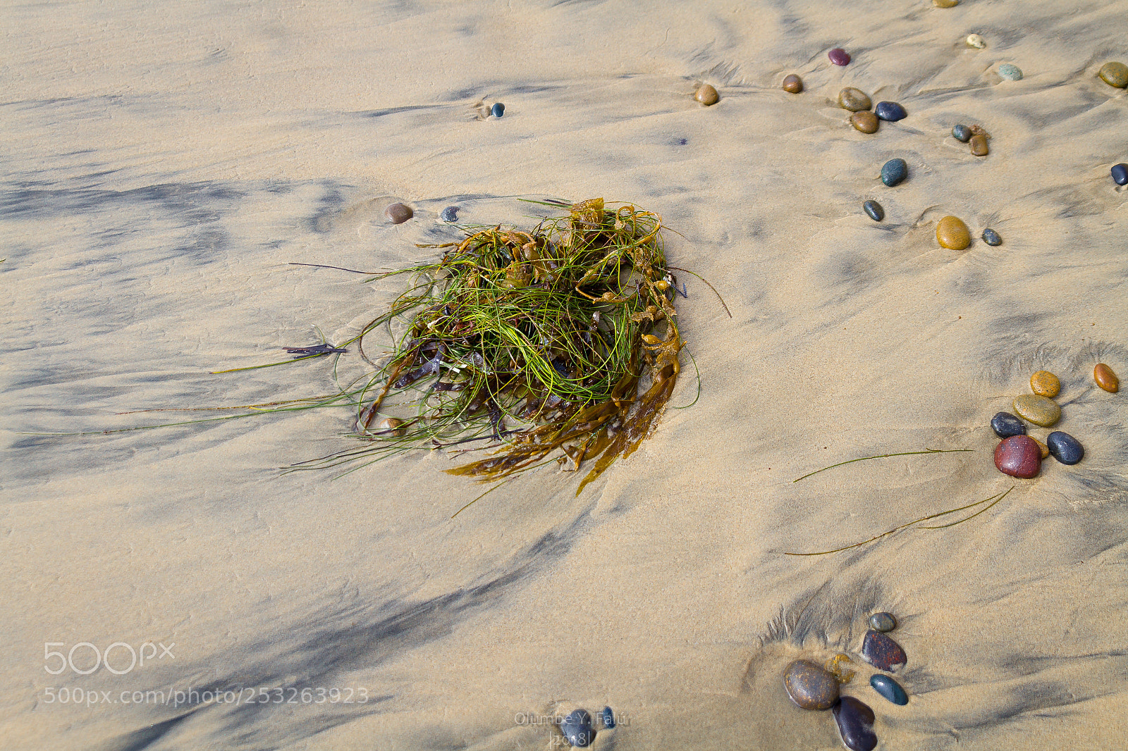 Canon EOS 7D sample photo. Stonesteps photography