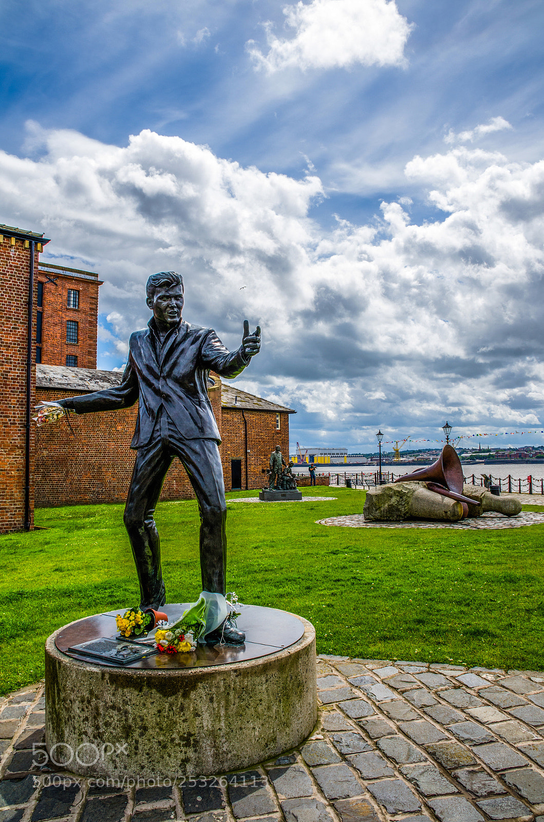 Nikon D7000 sample photo. Billy fury photography